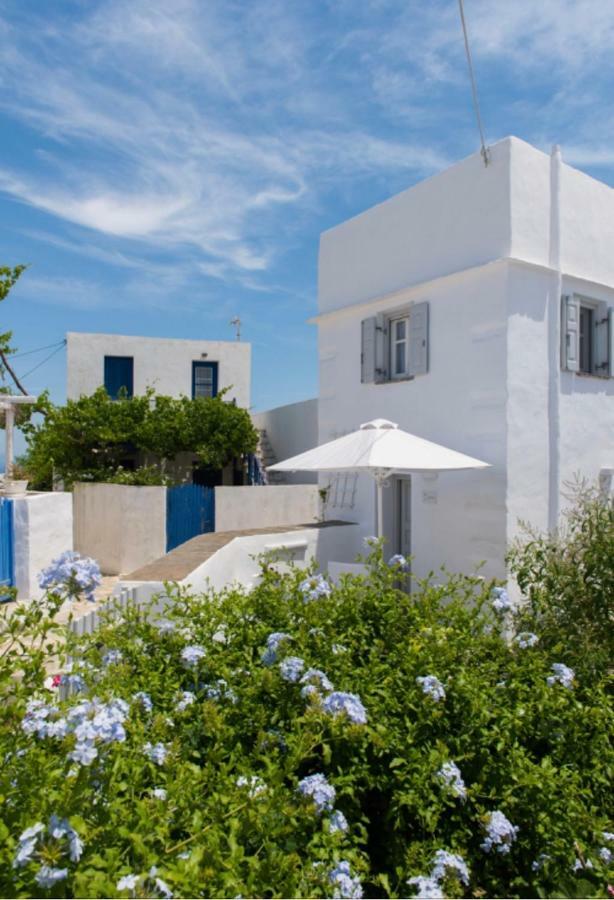 Apollonion House Διαμέρισμα Απολλωνία Εξωτερικό φωτογραφία